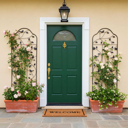 Wall Trellis Set, 2-Pack Powder-Coated Steel for Vines
