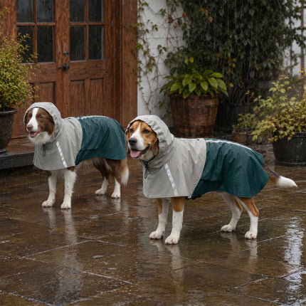 Waterproof Dog Raincoat with Reflective Stripes, Green