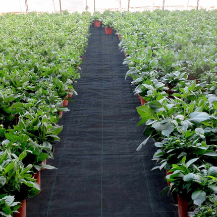 Weed Barrier Fabric, 197 g/m² Woven PP, 1.2 x 30.5 m