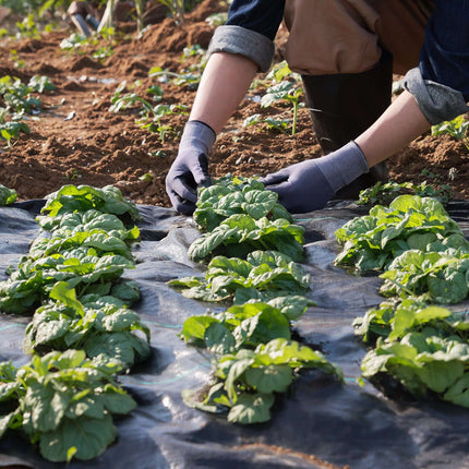 Weed Barrier Landscape Fabric 6 x 100 ft, Woven PP