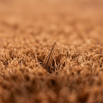 Welcome Coir Doormat, Non-Slip, 60x40 cm