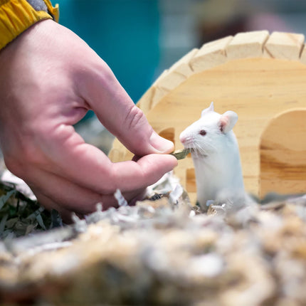 Hamsterhaus aus Holz