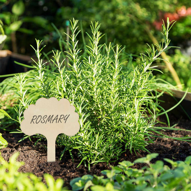Dřevěné zápichy k rostlinám – 100 ks
