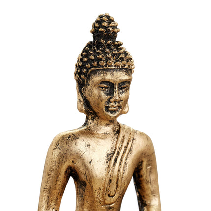 Zen-Garten mit Buddha