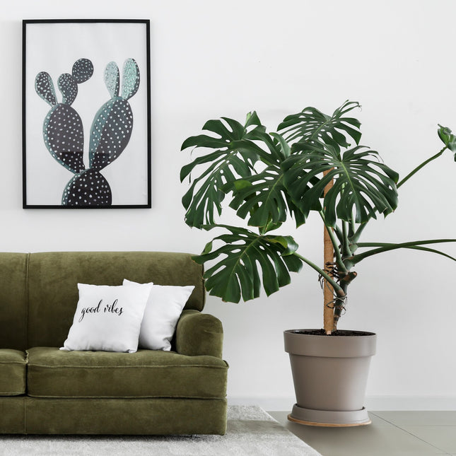 sada 10 kokosových tyčí 90 cm